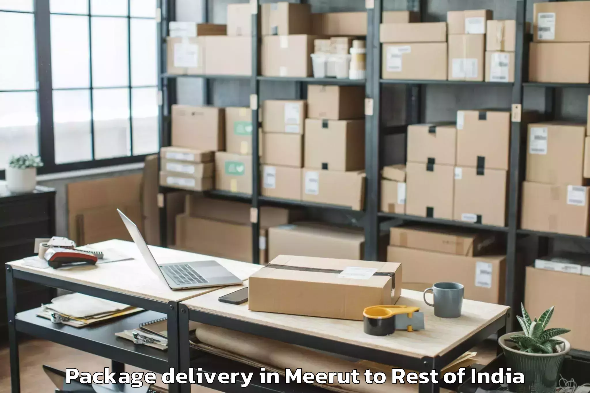 Quality Meerut to Qazigund Package Delivery